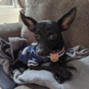 Meet your Posher, Kerry